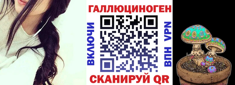 купить наркотик  Соль-Илецк  Псилоцибиновые грибы GOLDEN TEACHER 